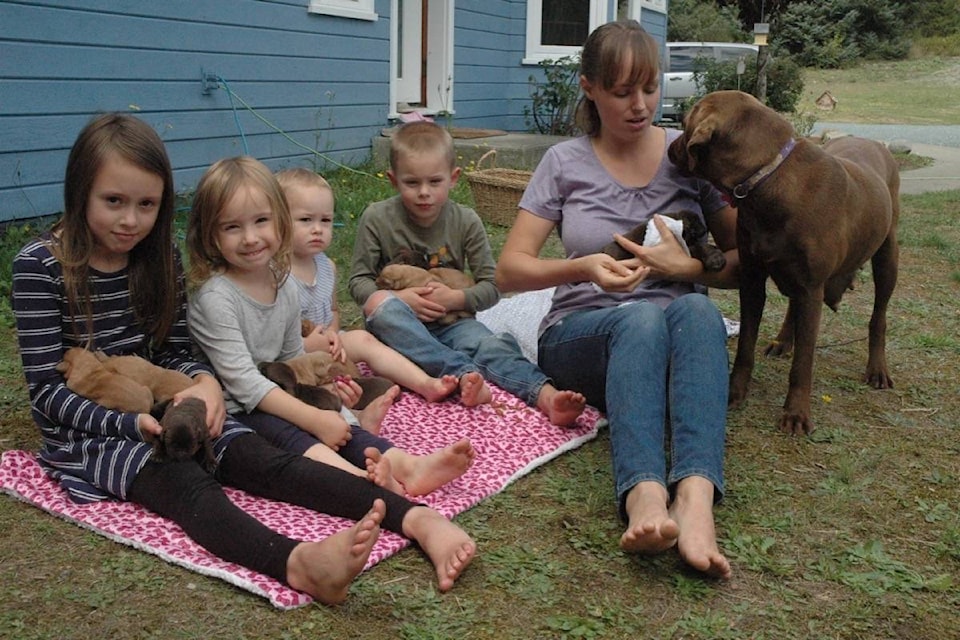 Duncan’s Baker family has a lot of new members after their chocolate Labrador Retriever, Tikka, gave birth to 14 puppies last week. Pictured, from left are Eliana, Bella, Hanna, Isaiah and mother Marrissa with some of the new arrivals. (Robert Barron/Citizen)