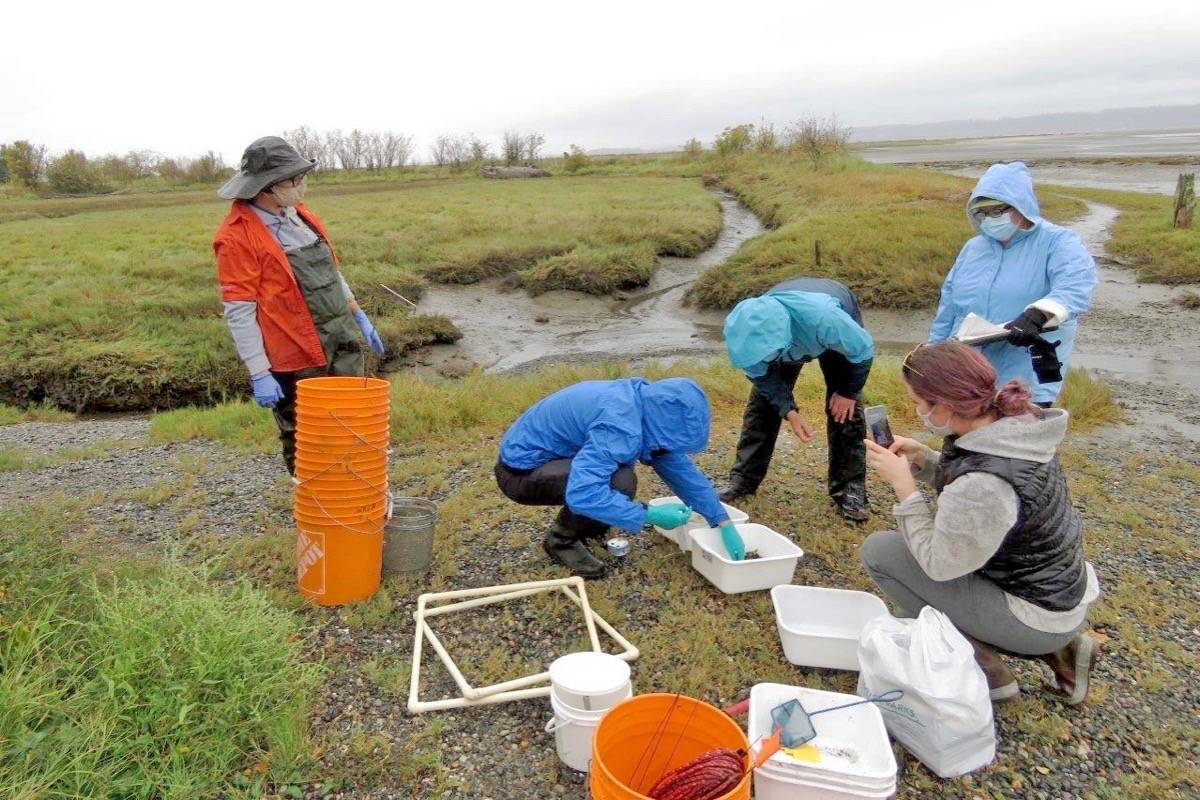Lori Schlechtleitner (left) watches as volunteers check what was caught in the traps that were set Sept. 25. (Contributed photo)