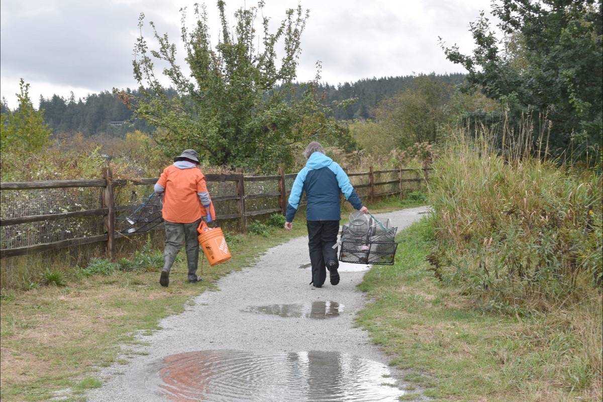 Lori Schlechtleitner and Dave Shorter carry trapping equipment towards the Blackie Spit salt marsh. (Tracy Holmes photo)