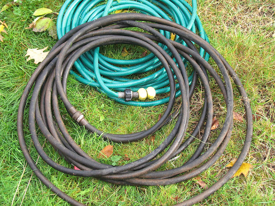 23241389_web1_201112-LCO-Nov12Lowther-hoses_2