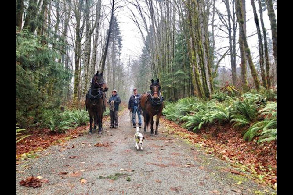 Amber Clayton took this shot of Cowichan Lake’s Clayton family out on the Trans Canada Trail. (Amber Clayton photo)