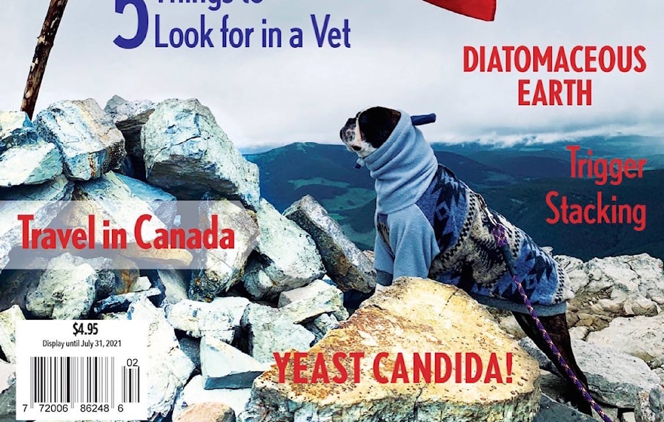 25383756_web1_210603-LCO-Pet-magazine-cover-dogs_1