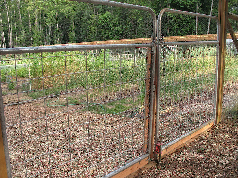 25762496_web1_210715-CCI-July15Lowther-garden-fence_2