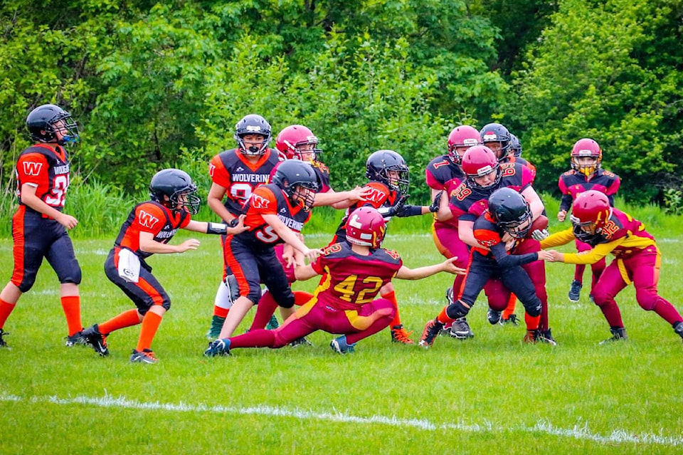 29295207_web1_220602-CCI-bulldogs-peewee_1