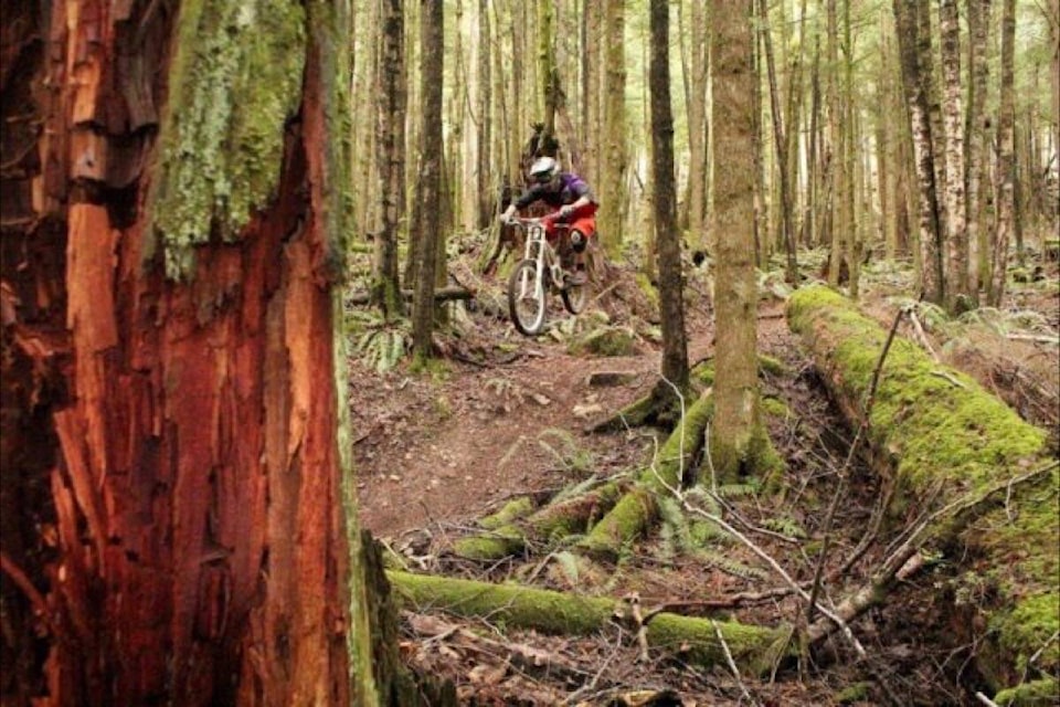 North Cowichan aims to stop illegal trail building on Mount Richards Lake Cowichan Gazette