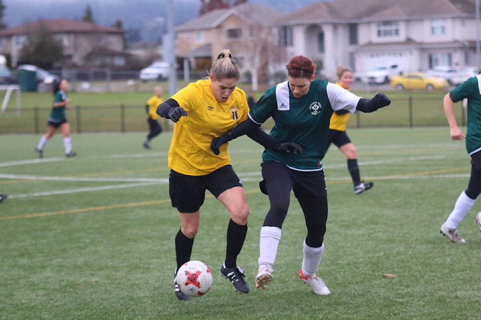 31274503_web1_221211-CCI-women-soccer-cougars_2