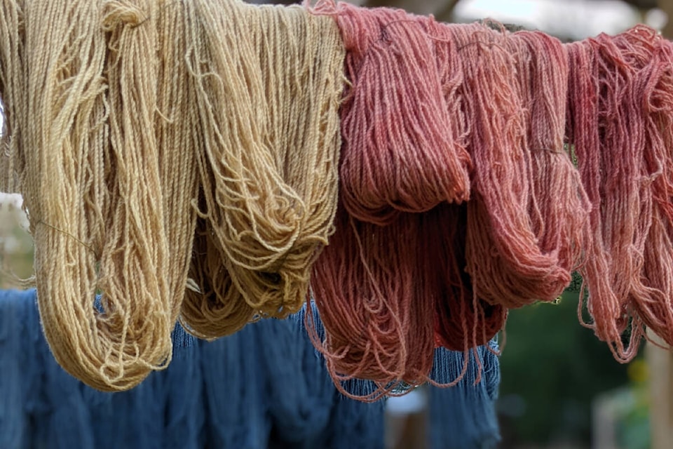 Pender Island alpaca llama sanctuary turns wool into yarn Lake