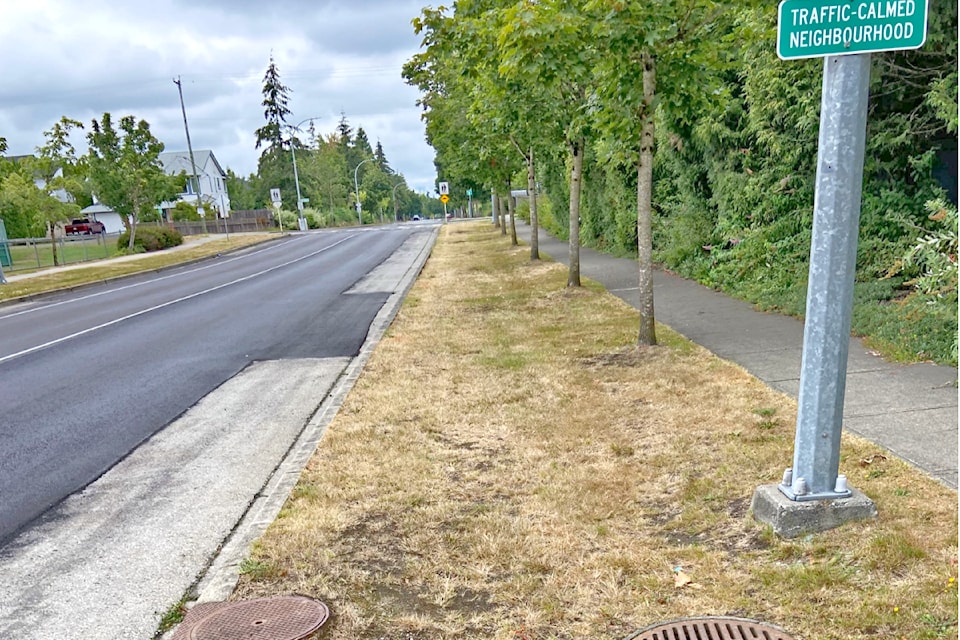 The grass on the boulevards is brown and resident Gerry Larson's lawn is also brown but a nearby school field is green. He has questions. 