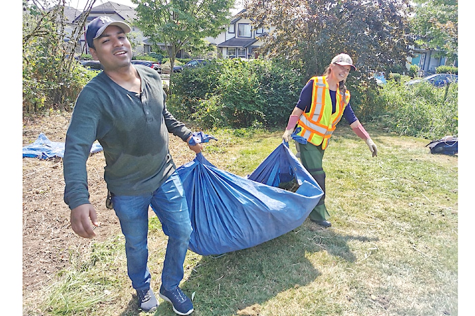 22 volunteers removed 6 cubic metres (equivalent to the volume of 37 bathtubs) of invasive Himalayan blackberry and Reed Canary Grass from Langley's Routley Park on Saturday July 27.  They will return Aug. 17.  