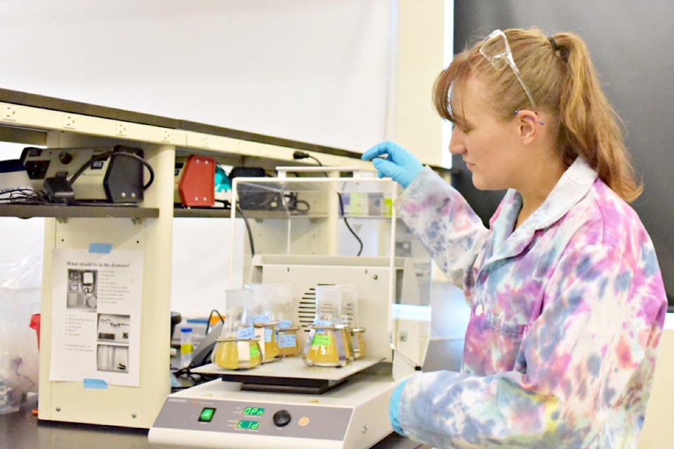 Kristin Korten is a member of the TWU myco-valorization lab research team.