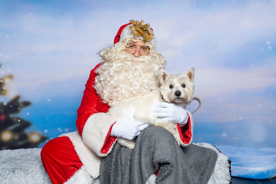 About 70 animals had their pictures taken with Santa at a fundraiser for the Happy Herd animal sanctuary in Aldergrove held on Saturday, Nov. 30 at the OpenRoad MINI dealership in 91ԭ City.