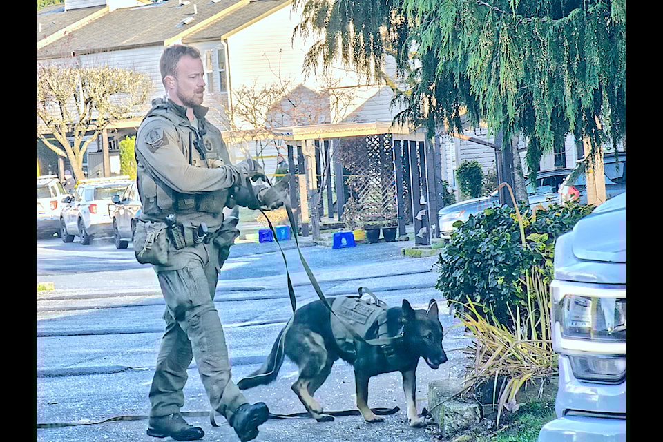 91ԭ RCMP and Abbotsford police with a canine unit were at the scene of a stabbing in Aldergrove Tuesday morning