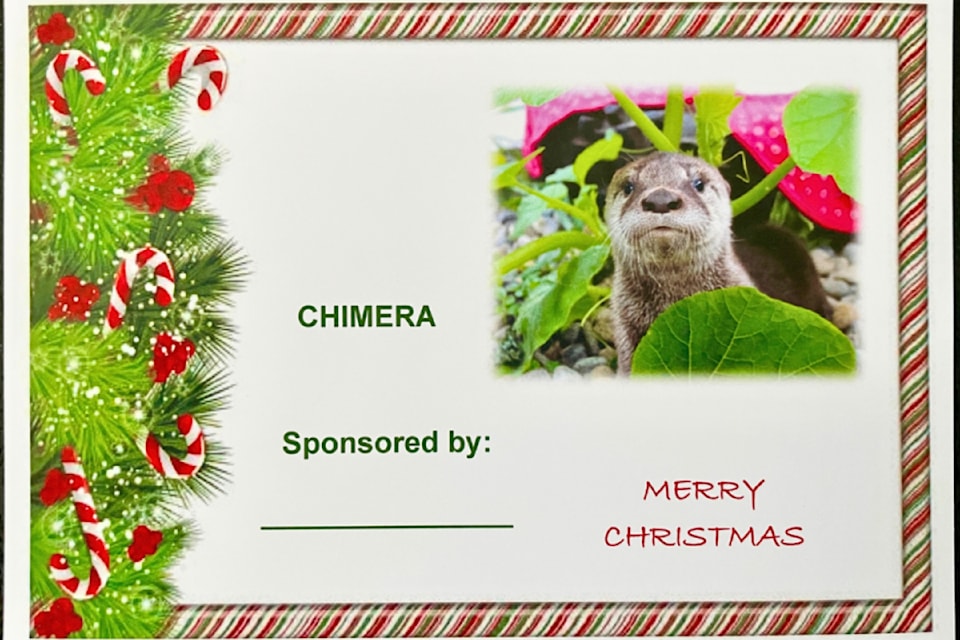 In addition to buying merchande at the Critter Care Christmas Store, people can sponsor animals being rehabilitated at the wildlife centre. 