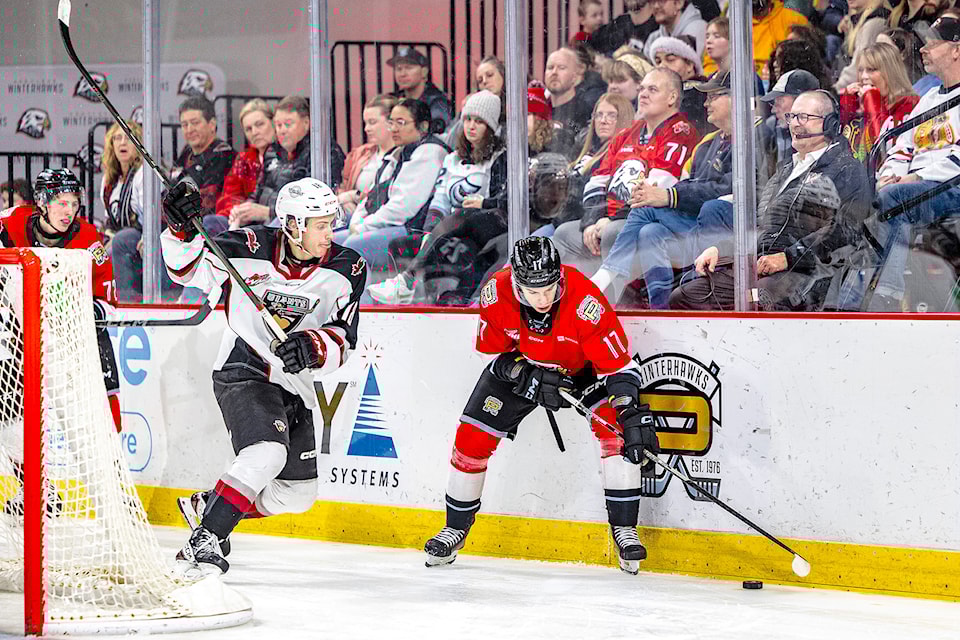 Giants teddy bear toss 2018 on sale