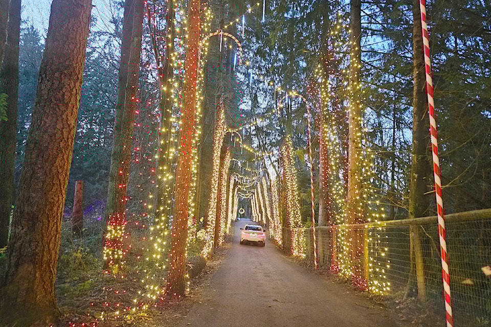 91ԭ Township's new holiday light display has opened in Williams Park, with drive-through visits being pre-booked online.