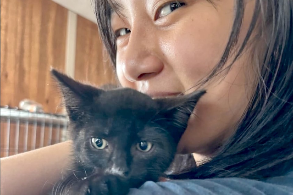 CARES cat shelter has an adopt-athon Saturday, July 20 and Sunday, July 21, 2024. (Special to 91ԭ Advance Times)