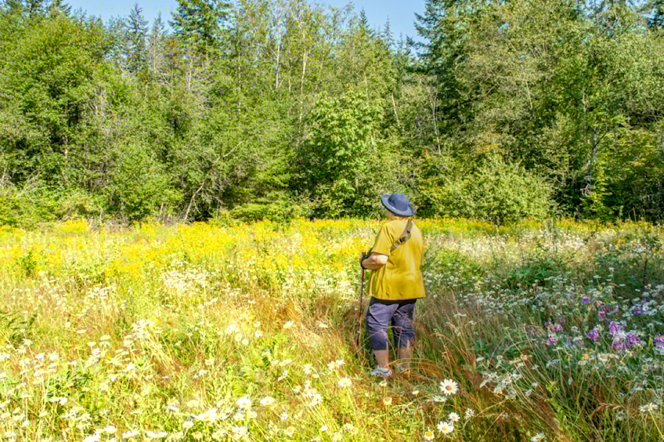 240730-lat-rh-lensruffeskimeadow1