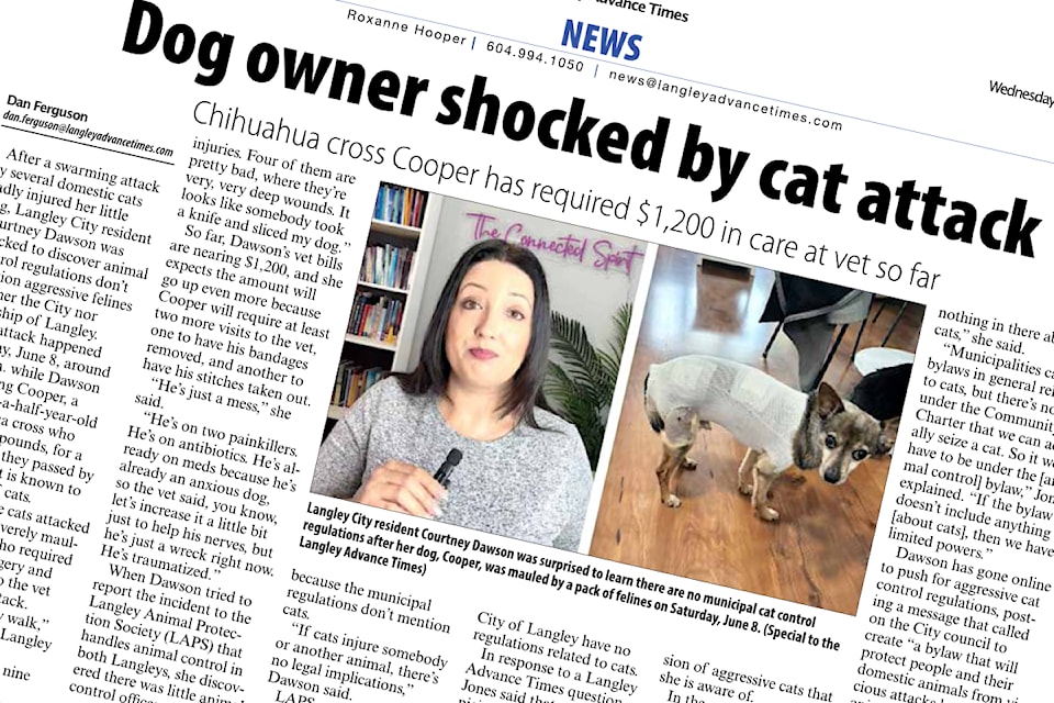 A local resident said his wife and another woman were attacked by a cat. He shared the experience after reading the newspaper's story about a dog injured in a cat attack.