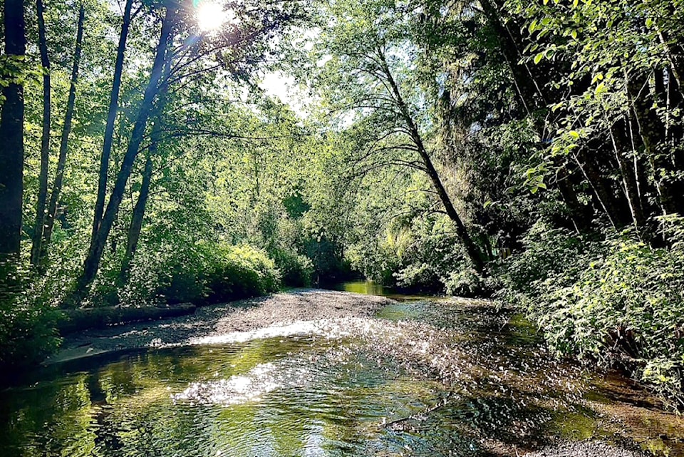 240628-lat-rh-lenswalshwilliamspark1