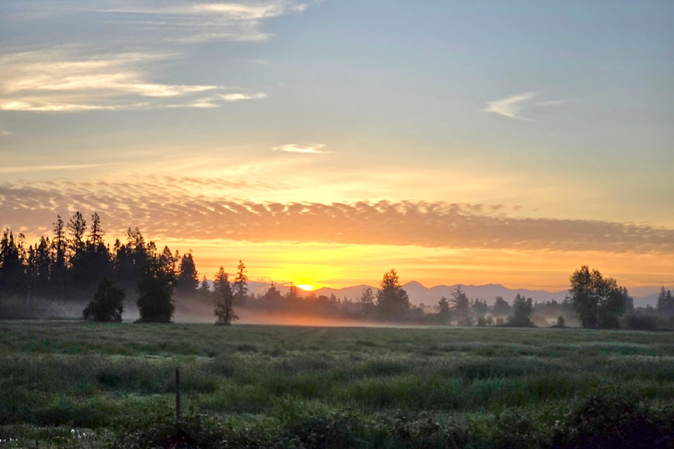 kolisnyksunrisec