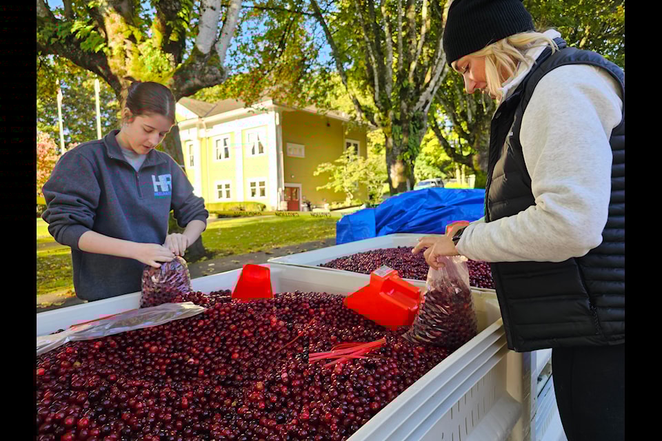 Thousands packed downtown Fort 91ԭ for the annual Cranberry Festival Saturday 