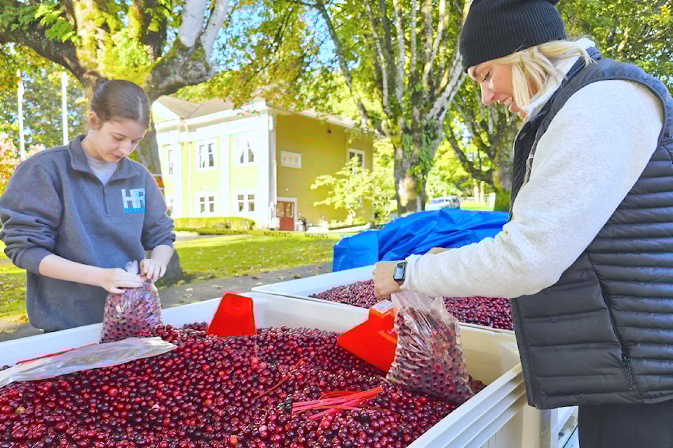 Thousands filled downtown Fort 91ԭ for the annual Cranberry Festival on Saturday, Oct. 12.