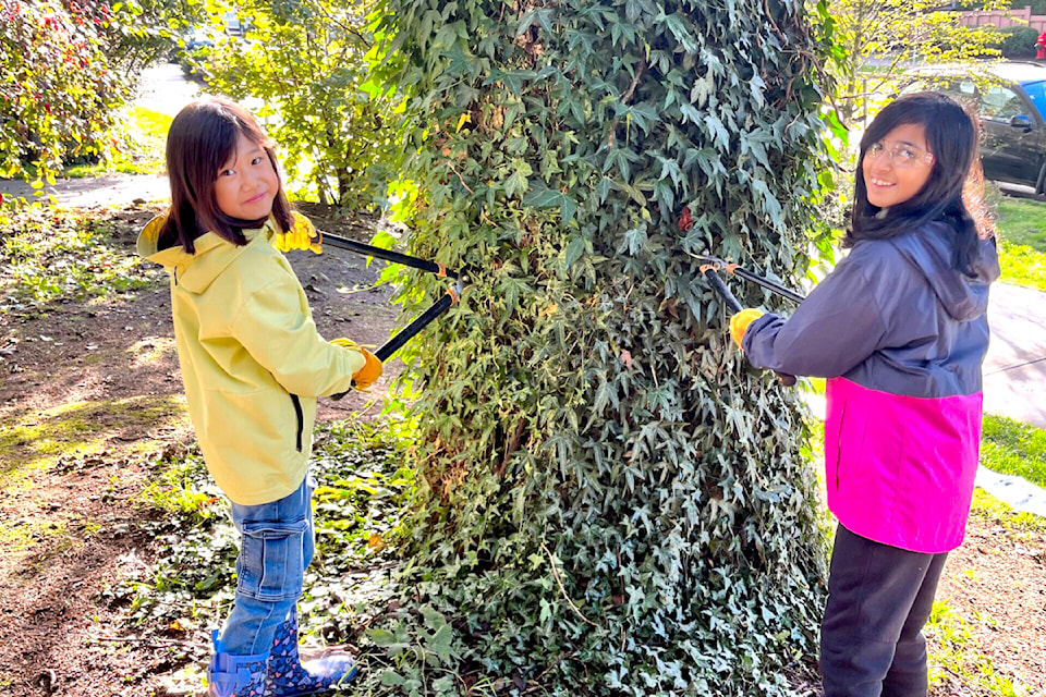 Donna Gabriel Robins Elementary students helped remove ivy on Oct. 16, 2024. 
