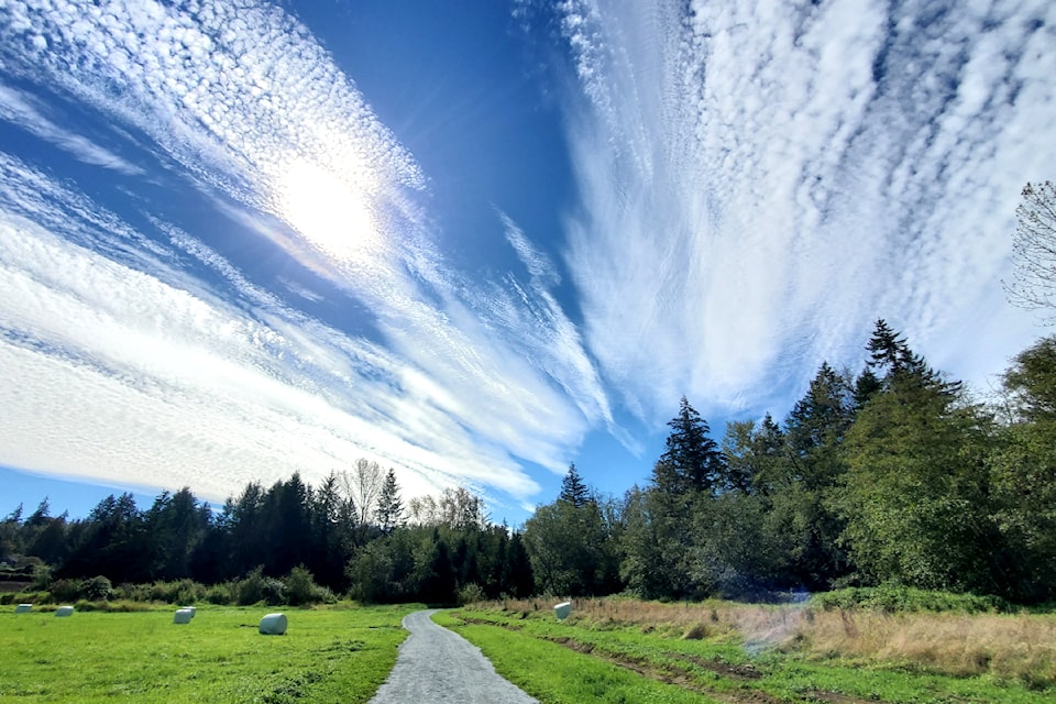  Jim Orlowski and his wife strolled along the Campbell Valley Regional Park’s perimetre trail the other day, stopping for a picnic, enjoying some breathtaking views of Mount Baker, and taking pictures of the clouds. “This afternoon’s sky was awesome  to the max,” Orlowski shared.  
