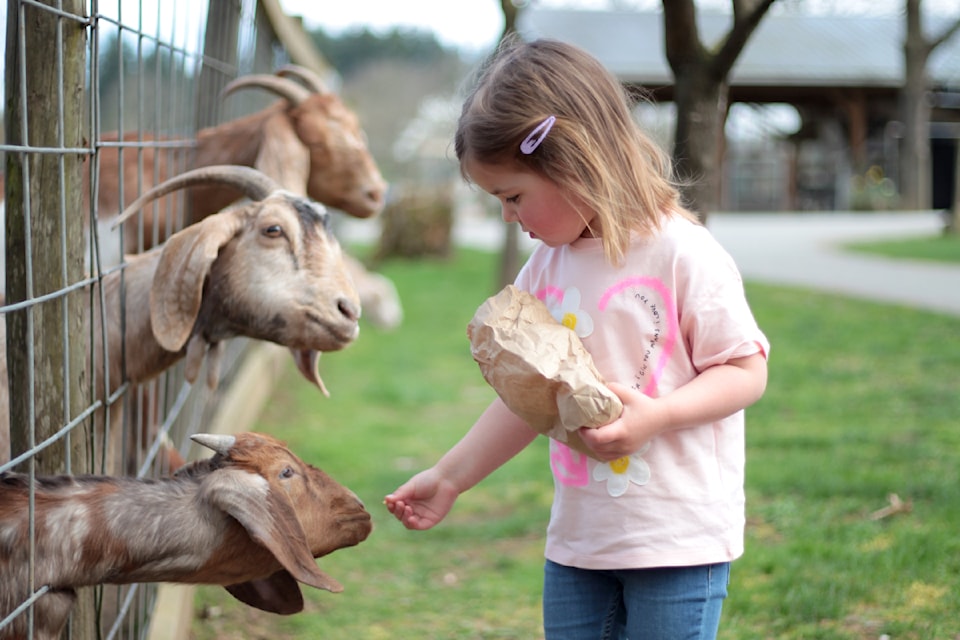 Aldor Acres has dozens of animals on the Glen Valley farm that are expected to greet visitors during the Easter long weekend.
