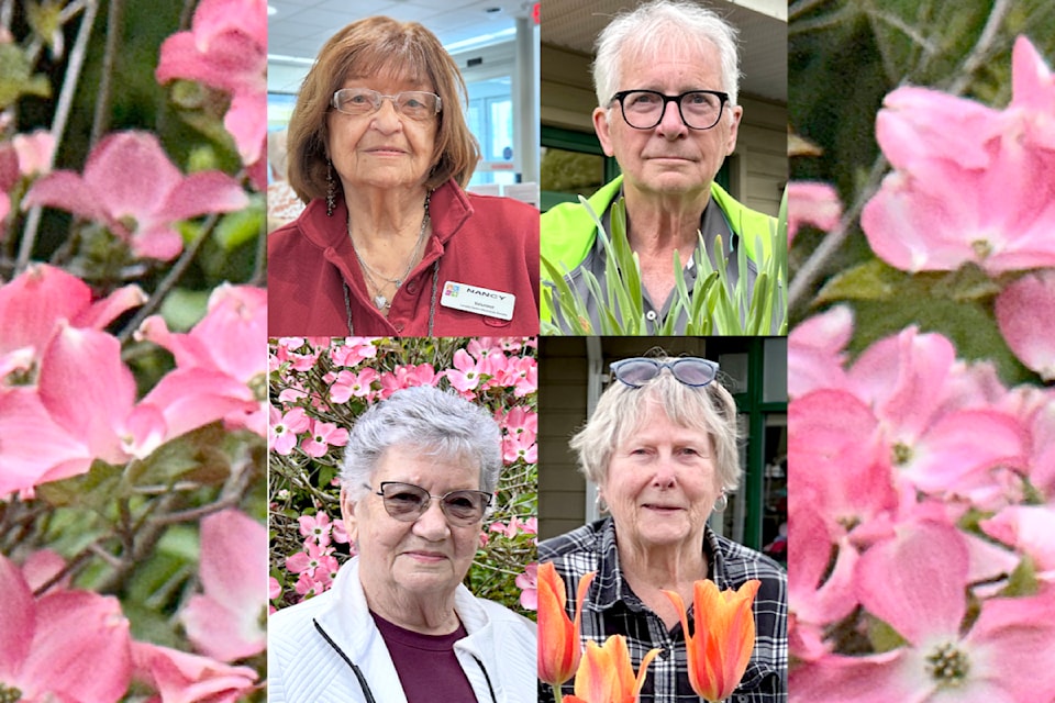 Nancy Rathgeber (top left), Bob Hayes (right), Yvette King (lower left), and Gail Hayes continue to enjoy gardening and help at the 91ԭ Senior Resources Centre. 