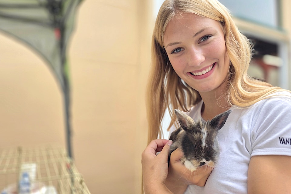 A baby bunny was cuddled by museum volunteer Rainey DeWitt.