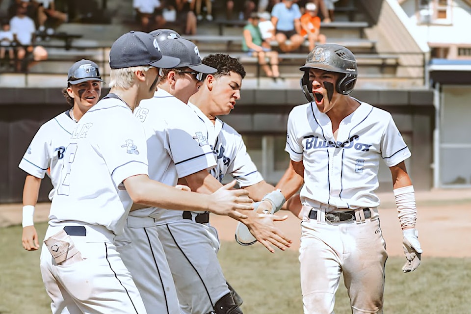 Township Blue Sox team