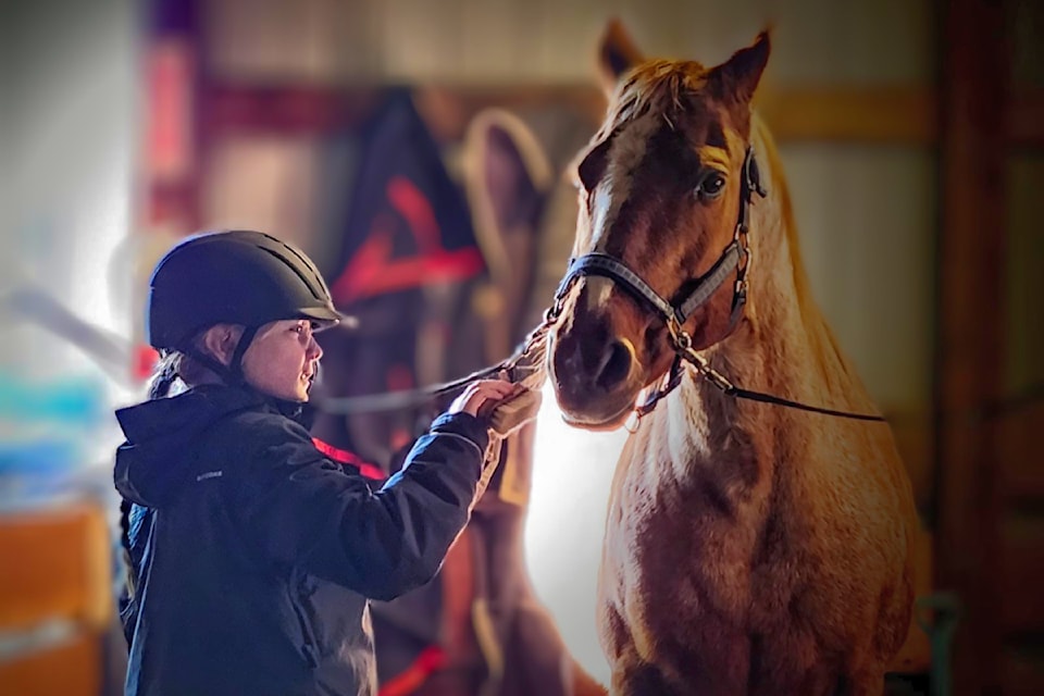 Valley Therapeutic Equestrian Association (VTEA) offers equine therapy to people with phyiscal and developmental disabilities. It is one of the local causes supported by the  Good Times Cruise-In. 