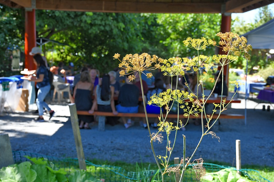 The annual Blackberry Bakeoff features a food contest, barbecue, live music, kids crafts, and tours of the community garden and Derek Doubleday Arboretum. 