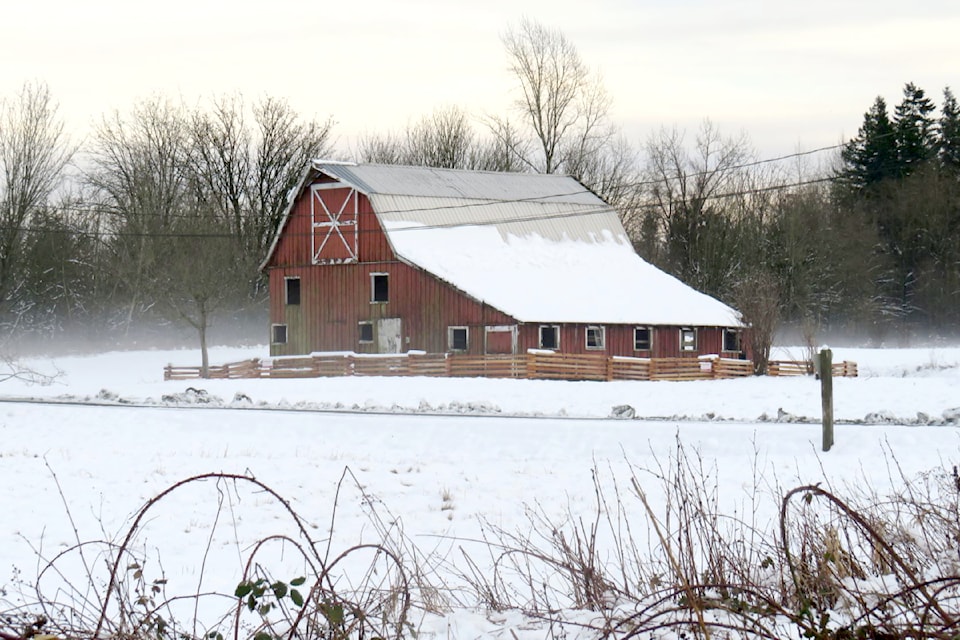 crosbybarnc250210-lat-rh-lenscrosbybarn1