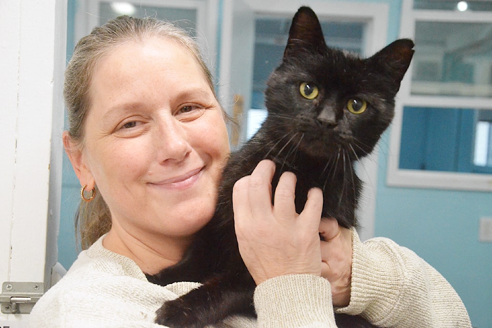 Faith Litowsky with an inquisitive black cat at CARES cat shelter in 91ԭ.