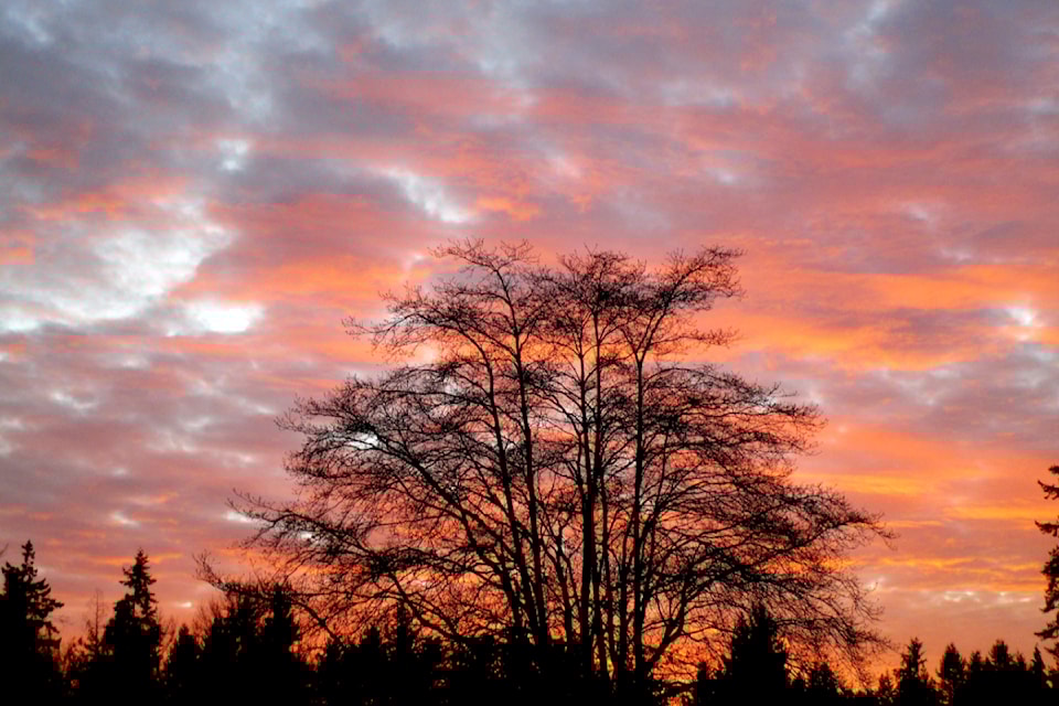 250123-lat-rh-sawatskywintersunset1
