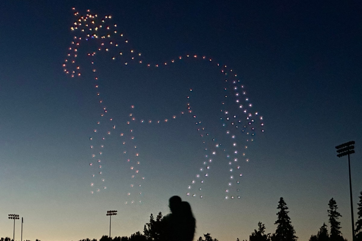 IN OUR VIEW: Better off without fireworks