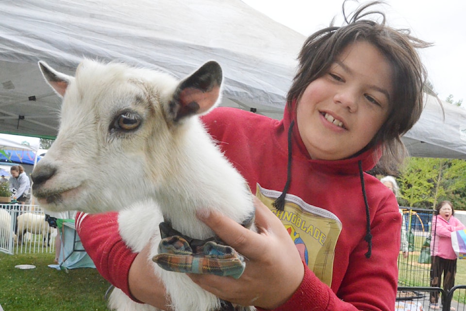 Yesper Janssen and his family's pygmy goat Guess.