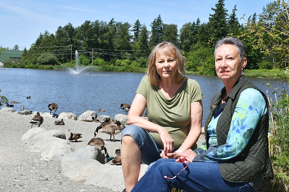 Brydon Lagoon area showing tree clearing