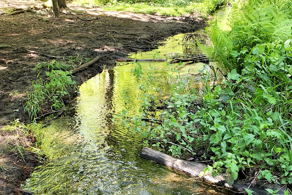 Jim Orlowski spent a recent afternoon in 's City Park, his grandkids sliding, swinging, and climbing in the dinosaur playground. They also took a stroll by the small stream that divides the playground from the ball fields. "Pretty nice," Orlowski said.
