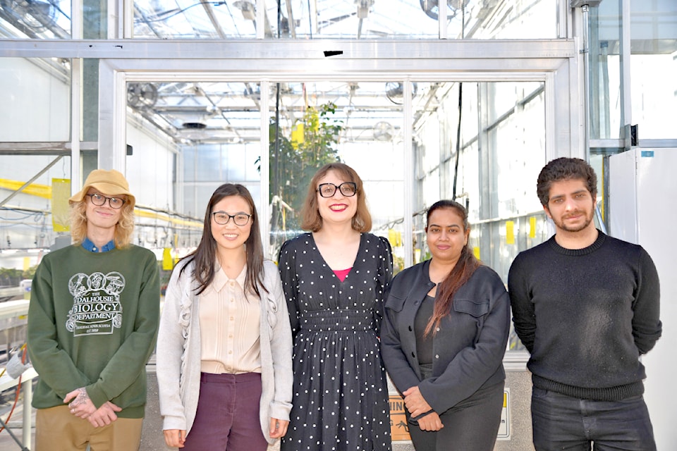 Jean-Mornay du Plessis, Dr. Li Ma, Olivia Puszka, Sarah Murria and Aria Tamanaei are the KPU research team. 