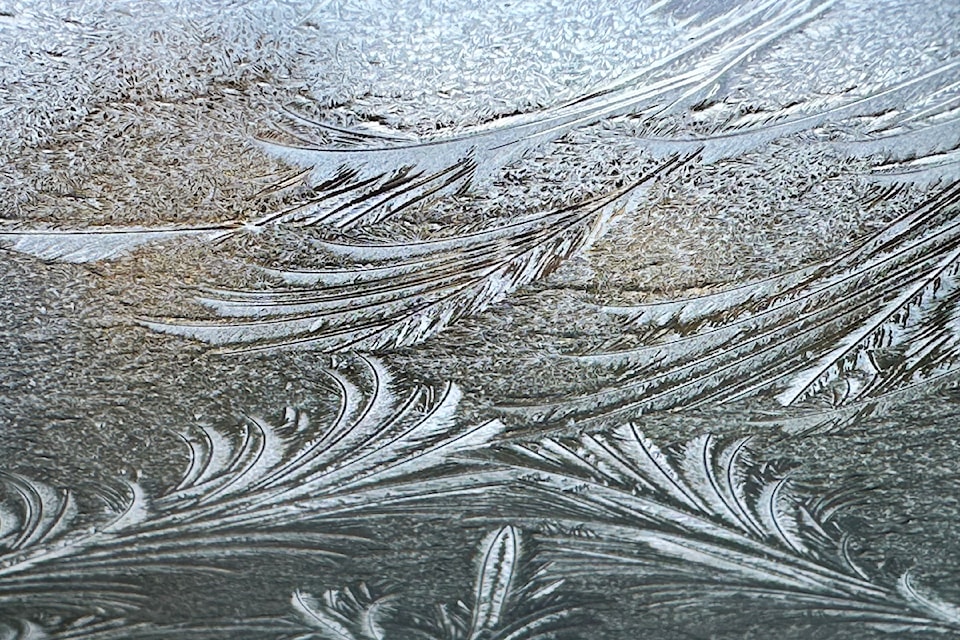 lenscolpittsfrostweb