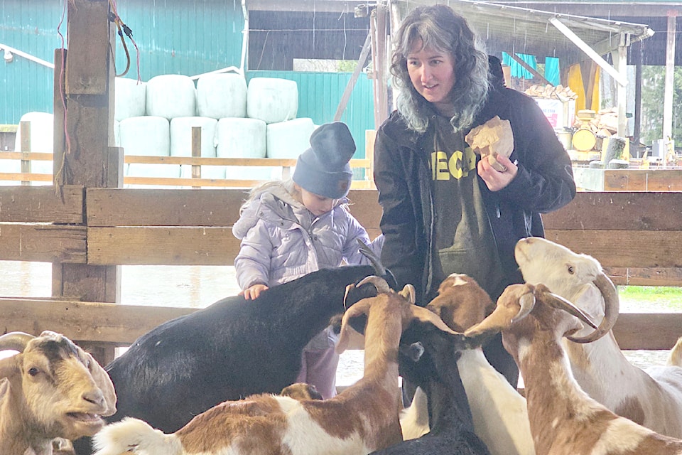 91ԭ's Aldor Acres farm opened for the season on Sunday, March 23. Evelyn Paulson, 5, from Port Coquitlam, and mom Morgan had a close encounter with some goats.