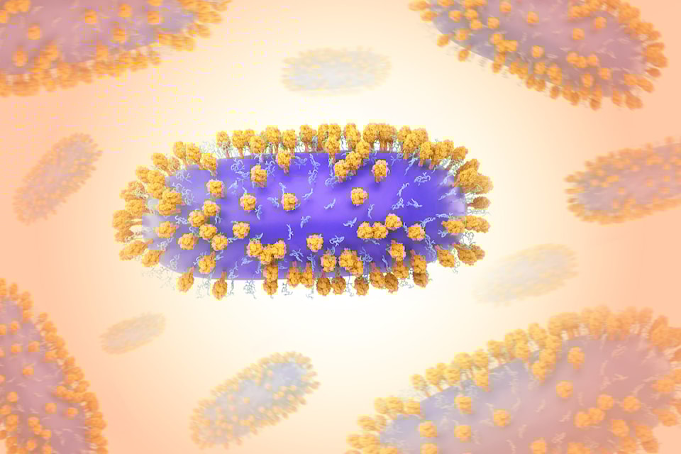 rsv_respiratory_syncytial_virus_niaidnih