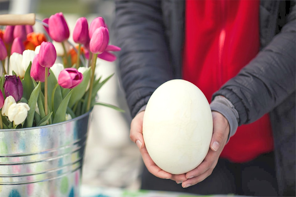 The Greater Vancouver Zoo has ostrich egg painting events April 18, 19, 20, and 21, 2025. 
