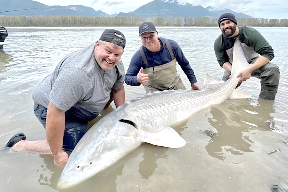 Over three years, a sturgeon fishing derby organized by Dorosh Construction has raised thousands for the the 91ԭ School District's trades department.