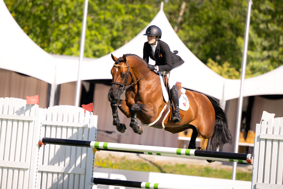  バード  Grouse-FinnFest 2020 Spruce Grouse - eBird