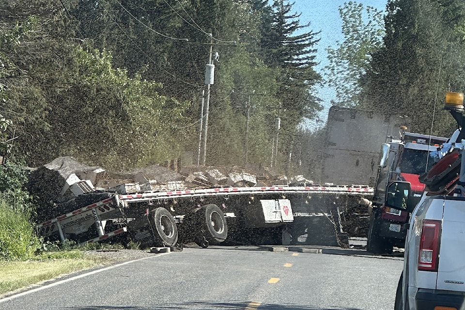 An estimated 14 million bees could be seen swarming after a commercial truck crashed just  south of Aldergrove in Washington State.