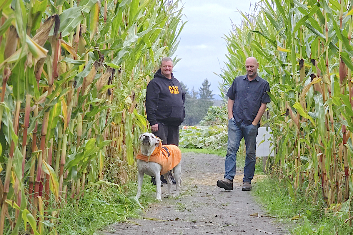 Langley's newest pumpkin patch